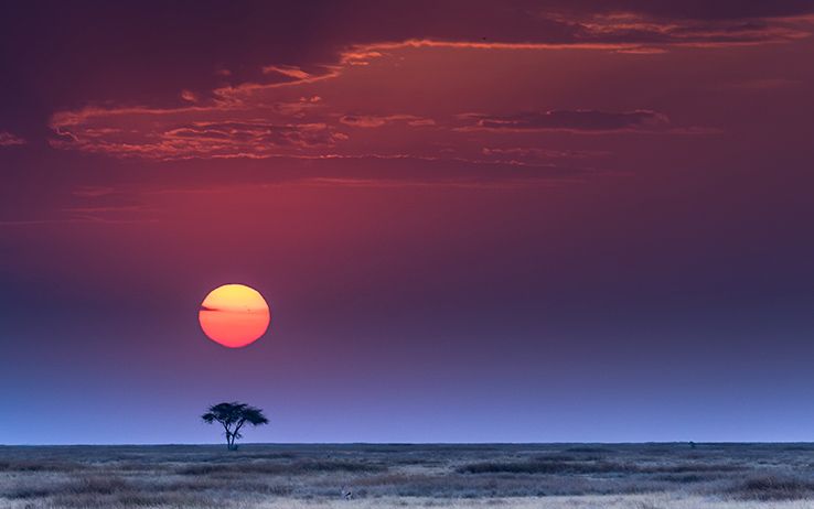 serengeti plain sunset