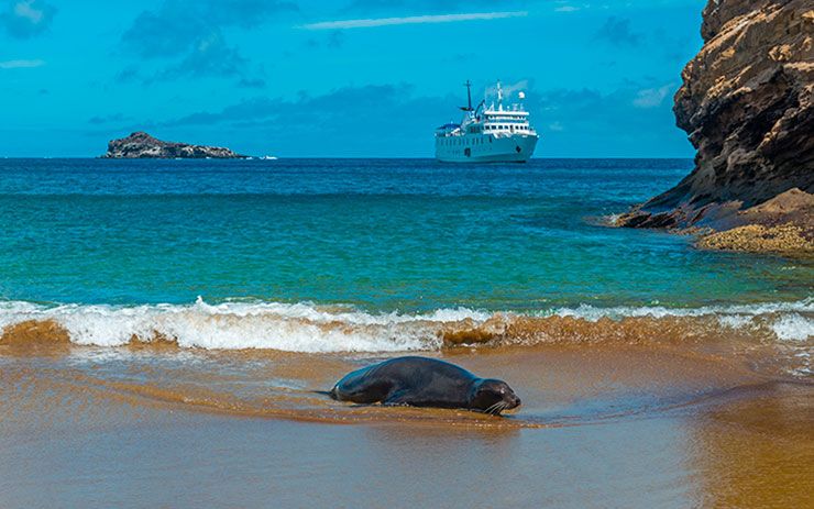 galapagos-during-the-year-when-to-go-in-galapagos-islands