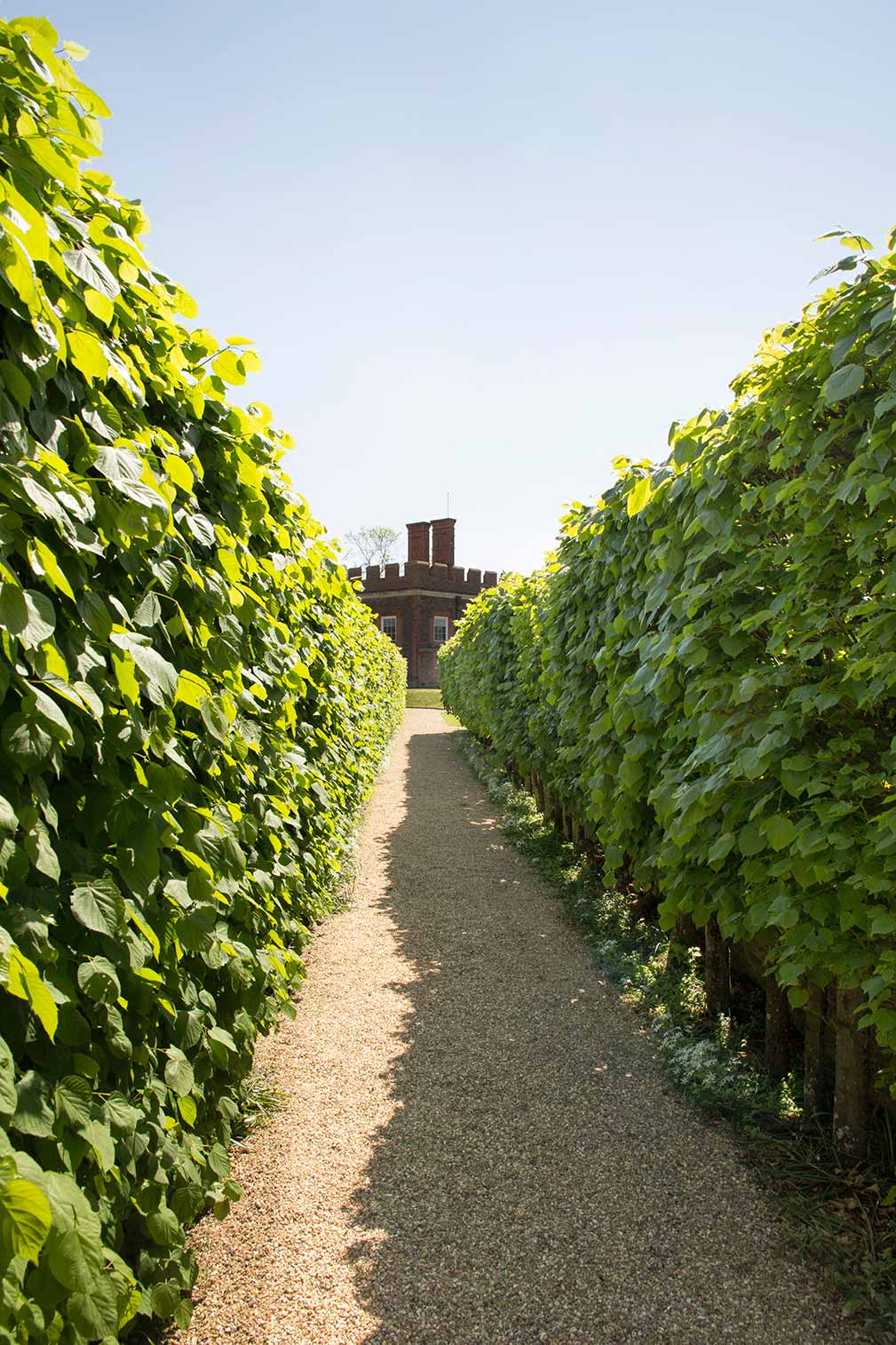 9 Spectacular Hedge Mazes From Around the World