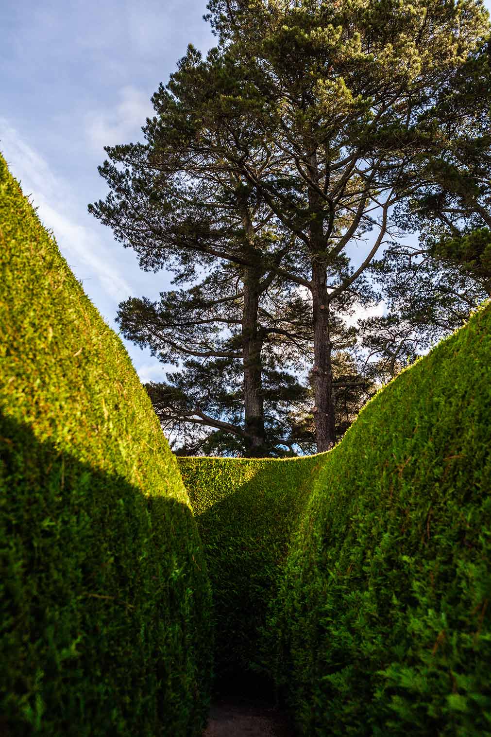 9 Spectacular Hedge Mazes From Around the World