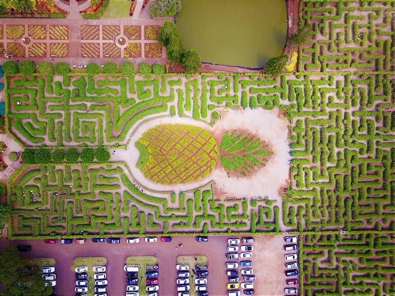 9 Spectacular Hedge Mazes From Around the World