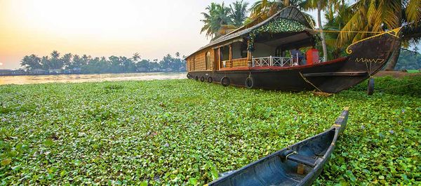 Things to Be Done During Kerala Trip